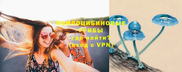не бодяженный Алексин