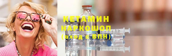 шишки Арсеньев
