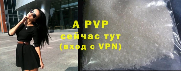 шишки Арсеньев
