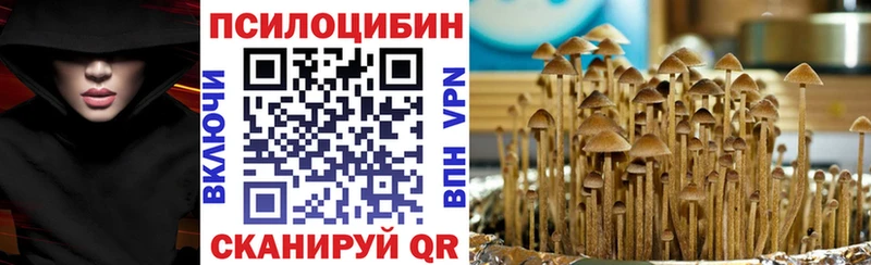 купить  сайты  Лянтор  Галлюциногенные грибы мицелий 